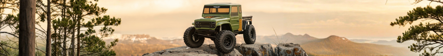 RC Rock Crawlers