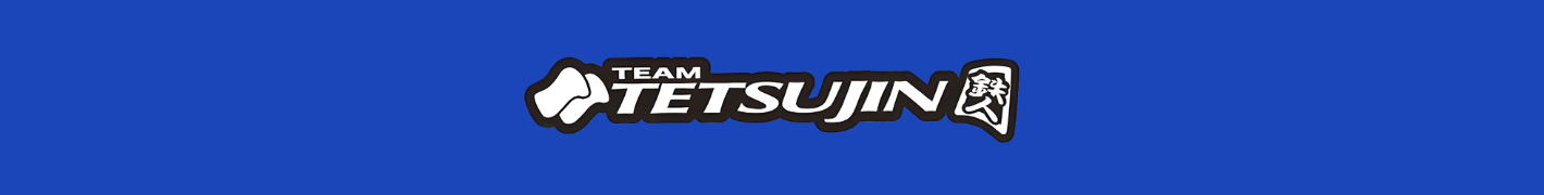 Team Tetsujin