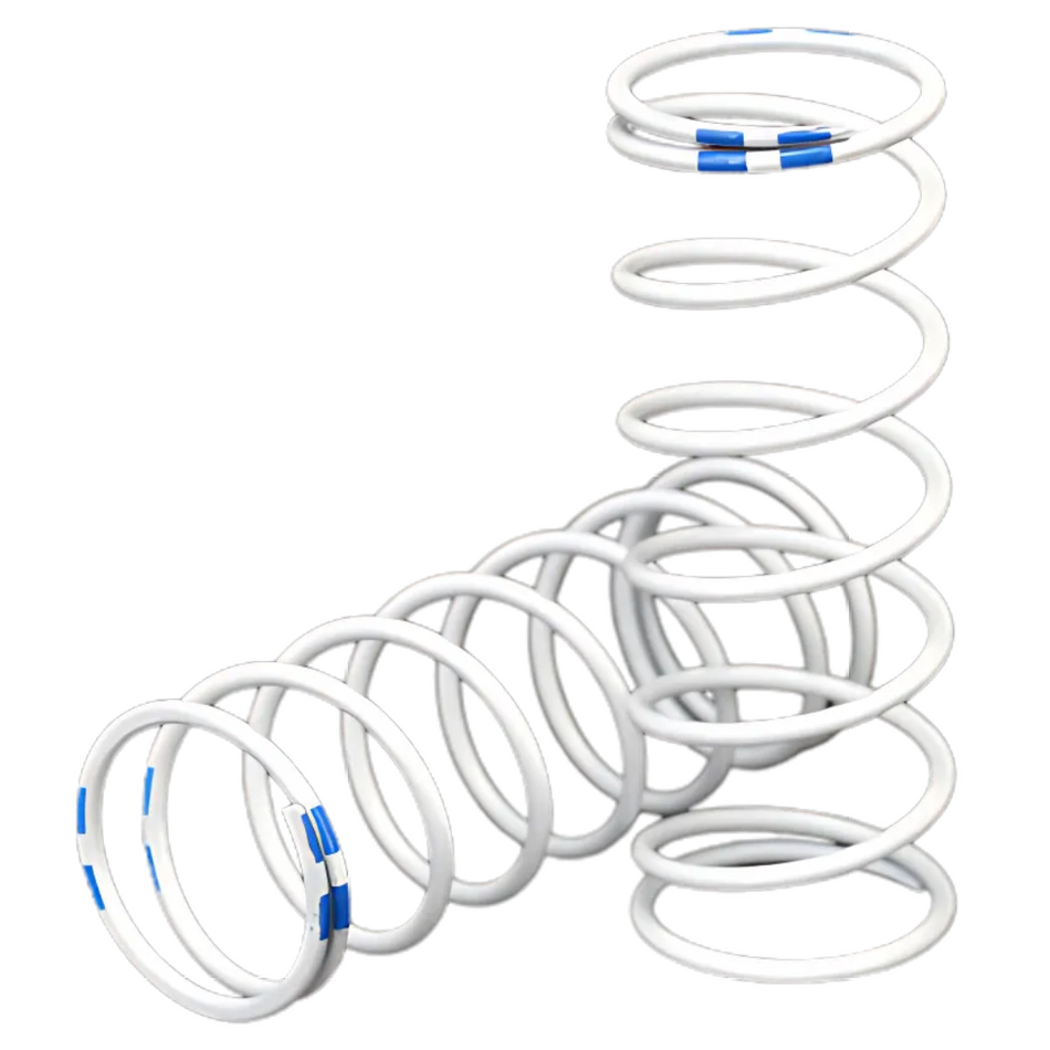 Traxxas 7449 1/10 XX-Long GTR Springs 1.004 Rate Blue Stripe Pair 7449